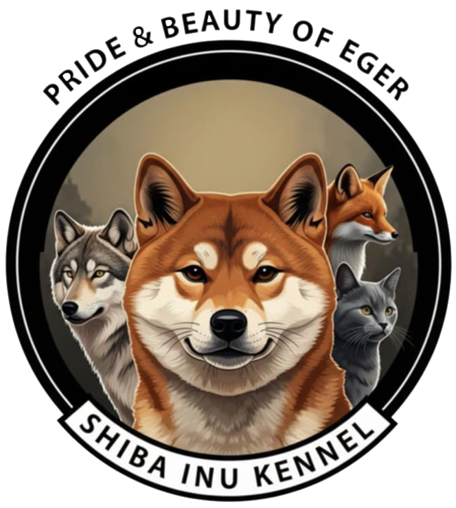 Pride & Beauty of Eger Logo